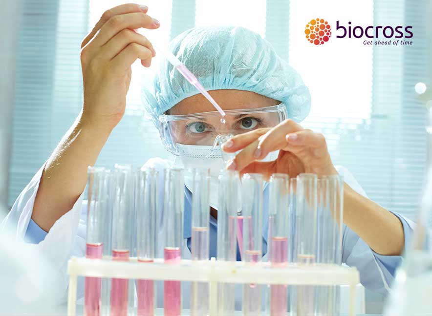 Biocross is involved in a new clinical study