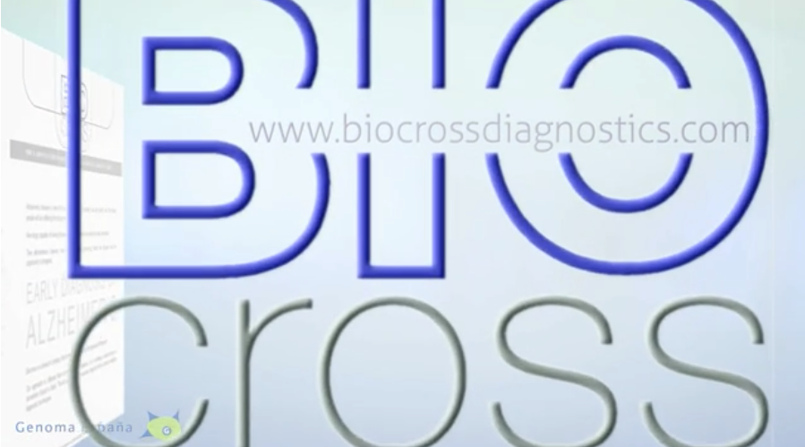 Biocross: a multiparametric method for the blood-based diagnosis of Alzheimer’s disease