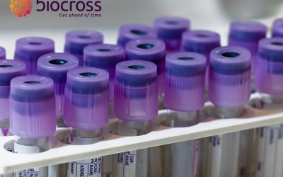 Biocross presents a fast and cost-effective method for apolipoprotein E isotyping for patient stratification in clinical trials